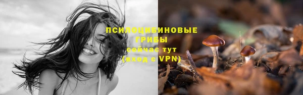 кристаллы Новозыбков
