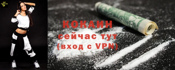 соль ск Новодвинск